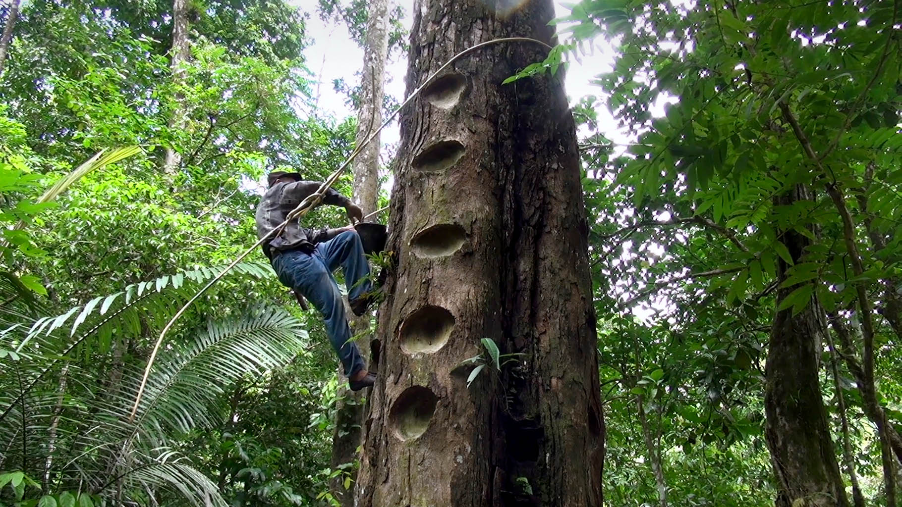 MATERIAL 2016 – 2017